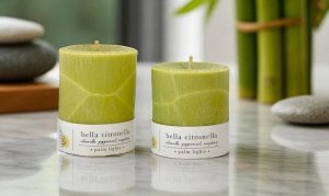 Are Citronella Candles Only for Outdoors? Busting the Biggest Myth Around Indoor Use | PalmLights UAE