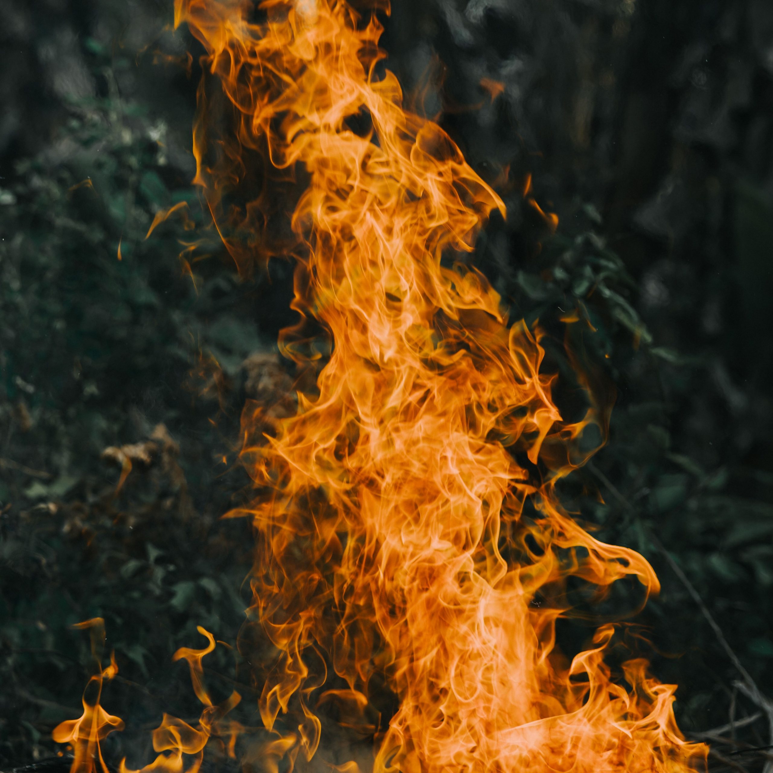 Pitta element, flame